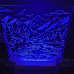 Lighted Display